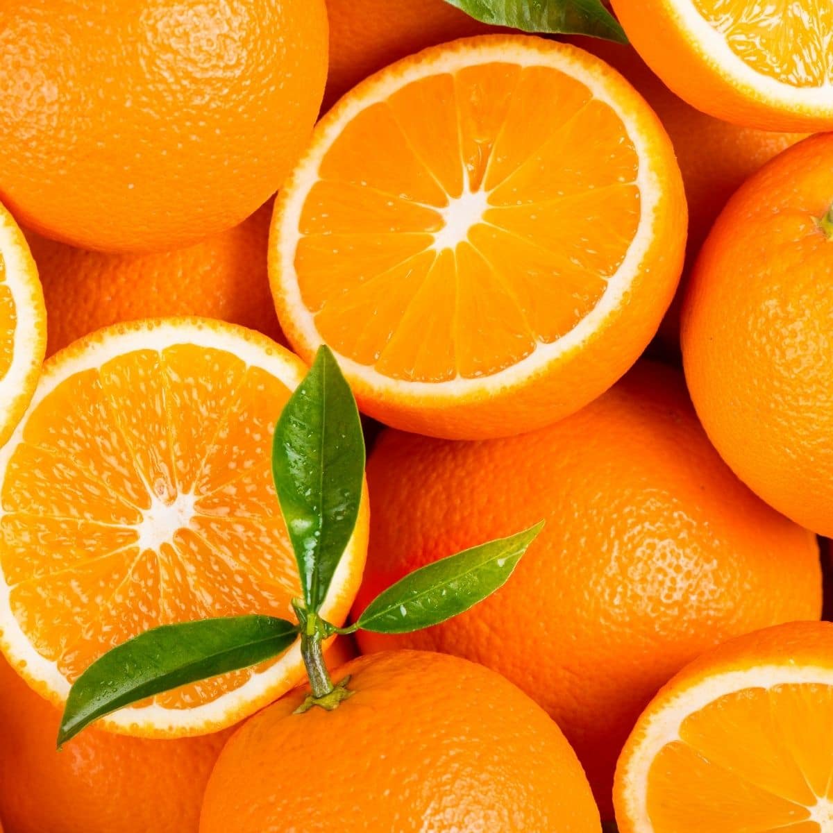 Square image of oranges.