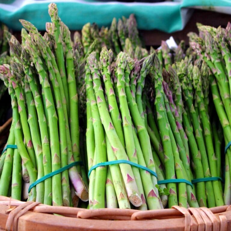 How to freeze asparagus like these fresh bunches of asparagus spears.