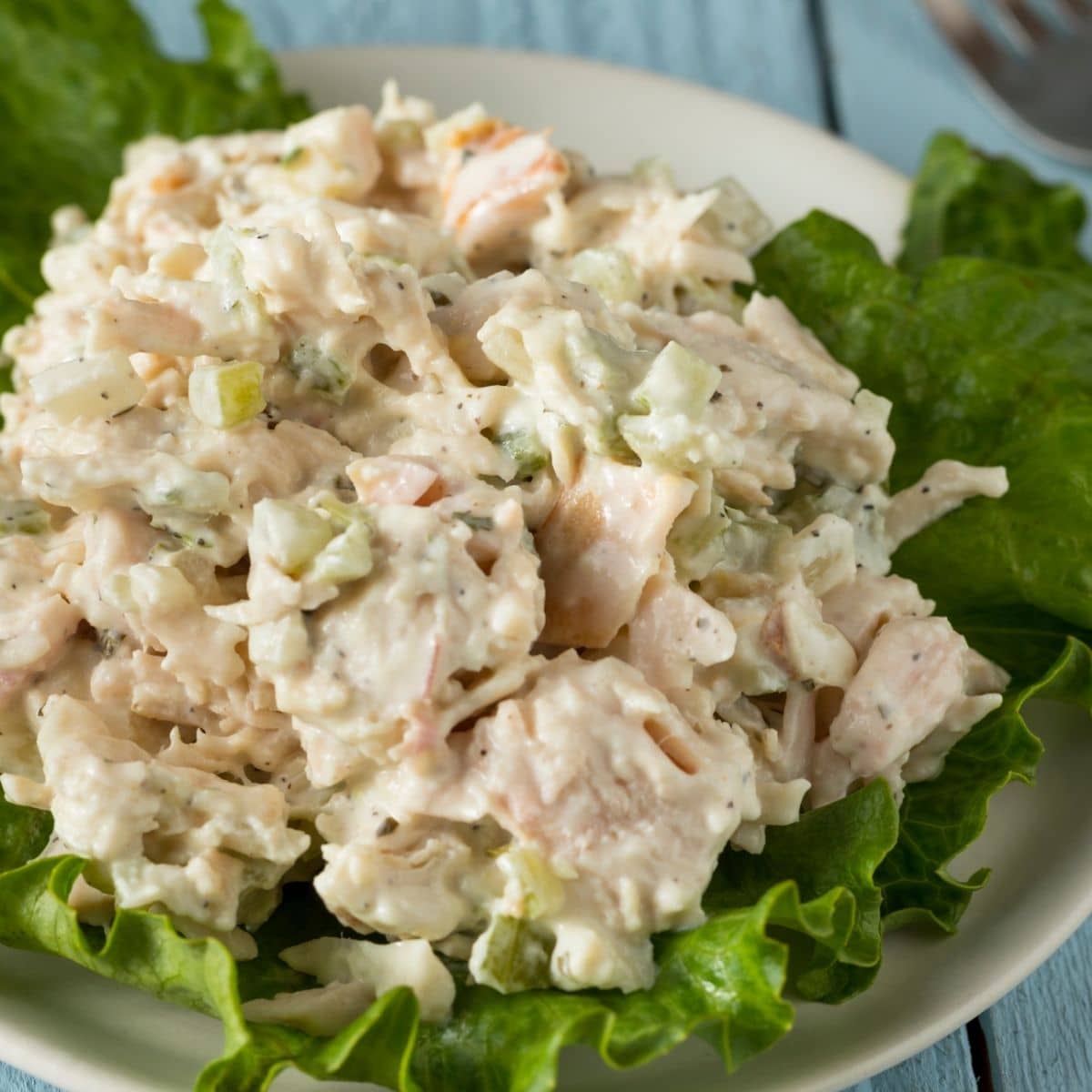 Square image of chicken salad on a bed of lettuce.