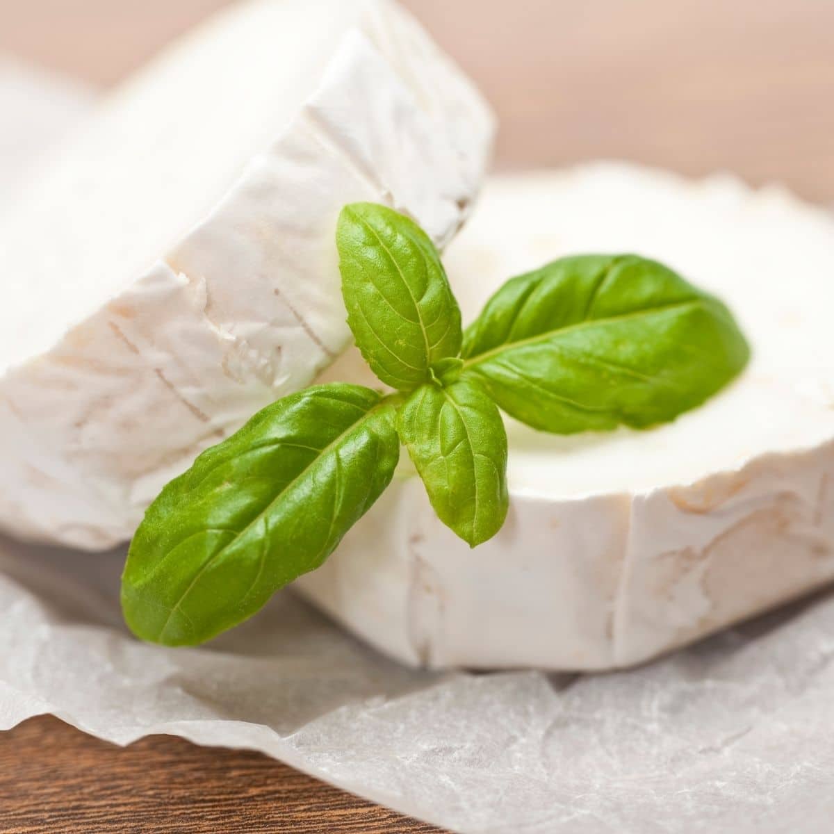 Square image of goat cheese.