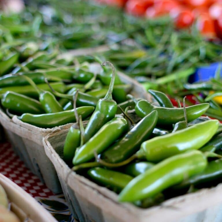 Square image of jalapenos.