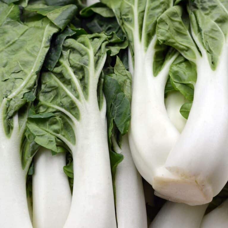 Pak Choy vs Bok Choy pic.