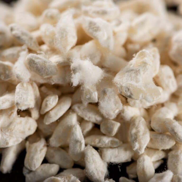 rice malt substitutes