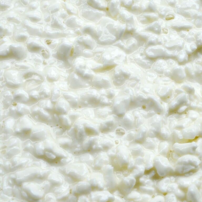 Paneer Substitutes