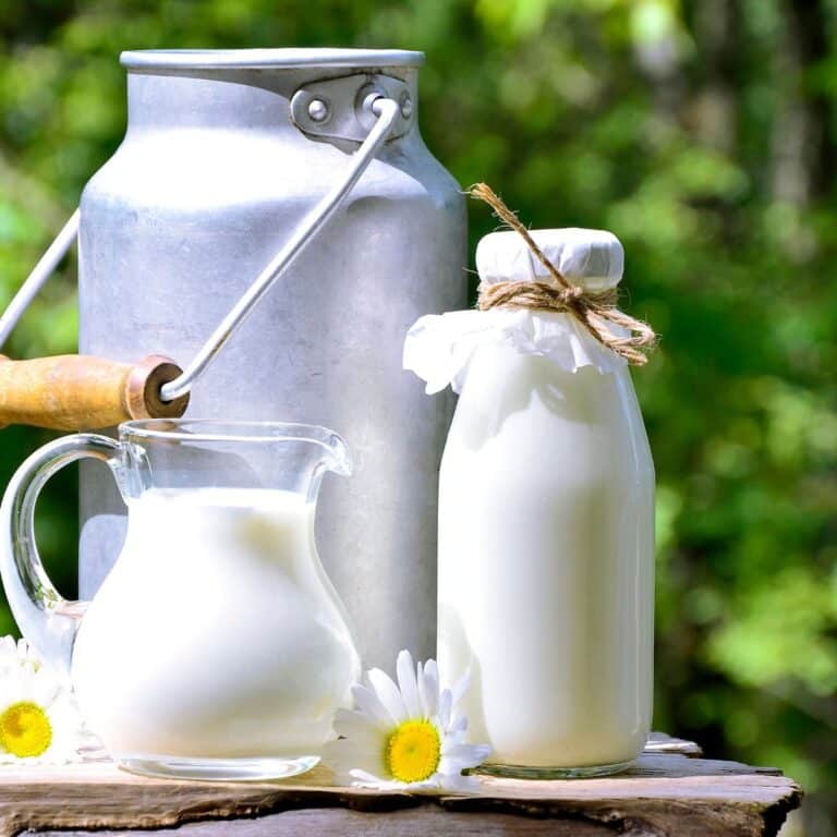 How Many Cups Of Milk Are In A Gallon?
