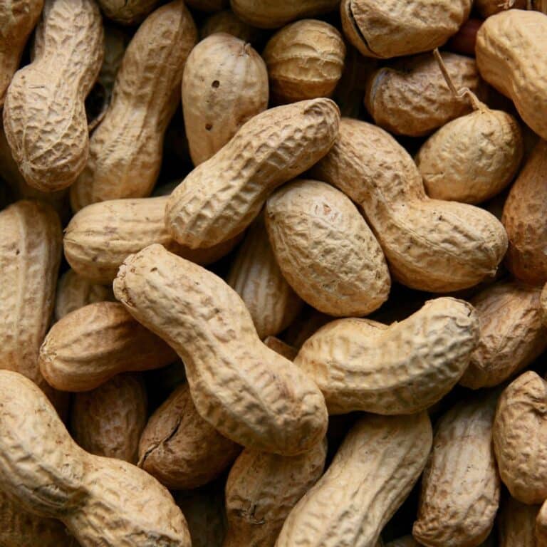 peanuts