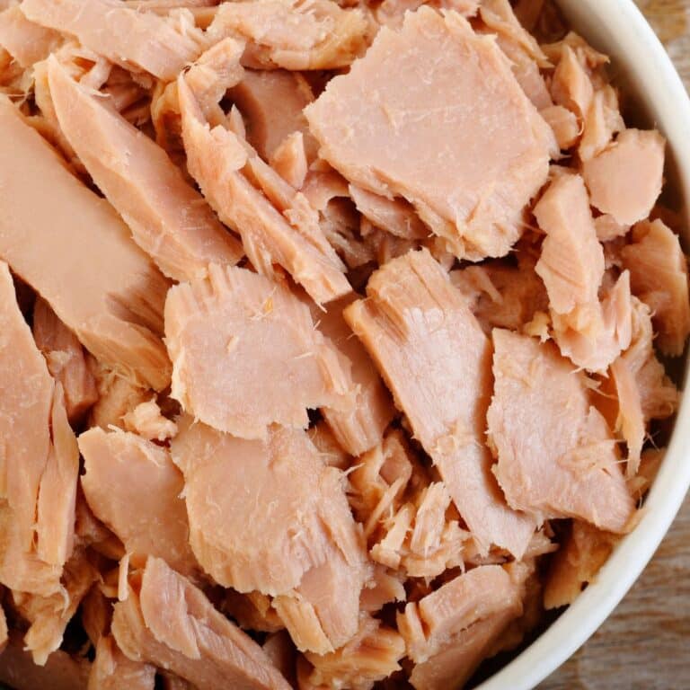 Tuna Fish Recipe Ideas